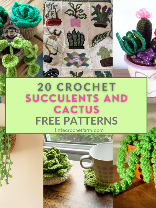 Crochet Succulents and Cactus – 20 Free Patterns to Make Your Own