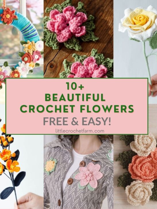 Free Crochet Flower Patterns – Beautiful and Easy Ideas